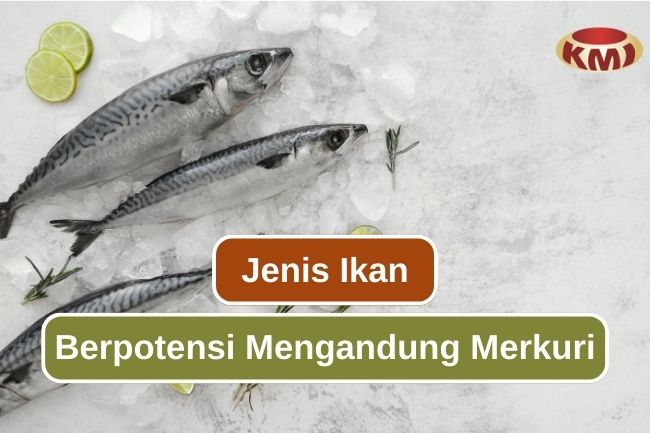 Ketahui 7 Jenis Ikan Yang Berpotensi Mengandung Merkuri